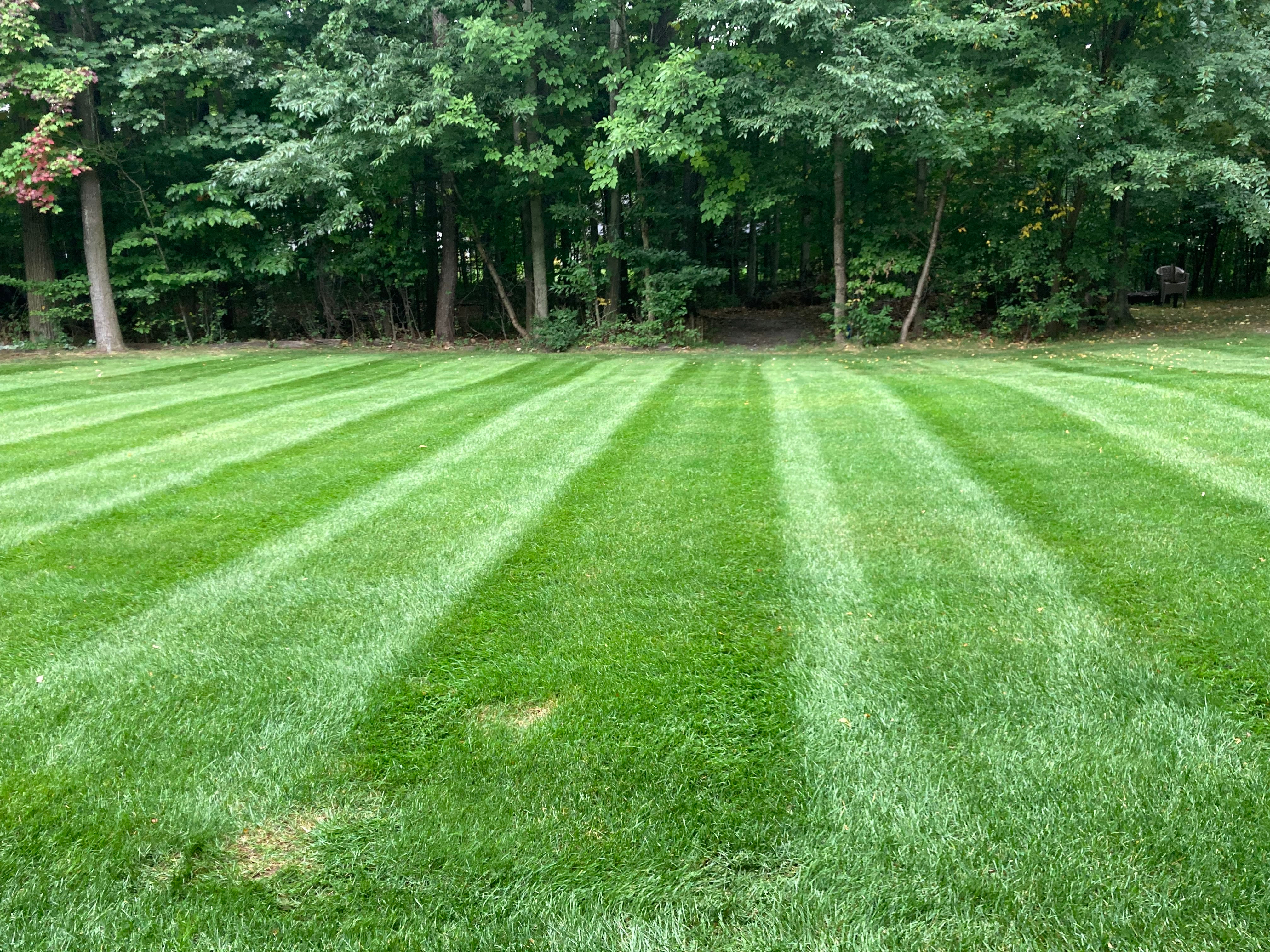 Cut lawn slide